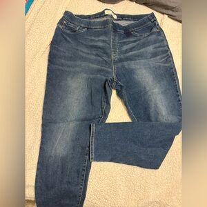 22W Levi's Signature Blue Skinny Jeans
